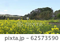 菜の花畑を行く小湊鐵道 62573590