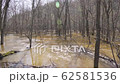 High water in spring forest, flooded trees underwater after river flood 62581536