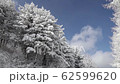 Hambaeksan的冬天樹木與雪 62599620