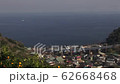 海岸沿いを行く貨物列車 62668468