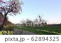 春の京ノ瀬を行くばんえつ物語号 62894325