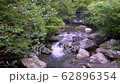 箕面の渓流 62896354