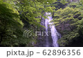 箕面の滝と新緑 62896356