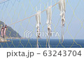 Dried fish fluttering in the sea breeze 63243704
