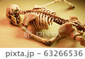 Close up of a miniature human skeleton 63266536
