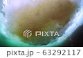 流氷とアイスアルジー 流氷とアイスアルジー 63292117