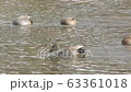 Duck synchro 63361018
