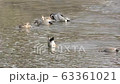 Duck synchro 63361021