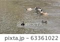 Duck synchro 63361022