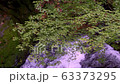 箕面の清流と青紅葉 63373295