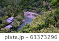 展望台から望む嵐山の渓谷 63373296
