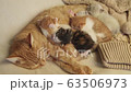 Cat, kitten, cat, cat family 63506973