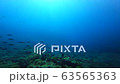 The sea of Similan Islands in Thailand Herd of Kumazasa hanamuro 63565363