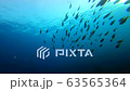 Sea of Thailand and Similan Islands 63565364