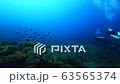Sea and divers of Kumazasa hanamuro in Similan Islands, Thailand 63565374