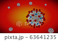 新的冠狀病毒SARS-CoV-2 63641235
