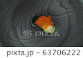 Sushi Ikura rotation 63706222