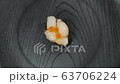 Sushi scallop spinning 63706224