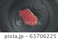 Sushi tuna rotation 63706225