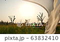 Curtains moving in the wind, outdoors landscape view of sunn hemp flower field with lens flare and sunset sky on background. Nature, environment, relaxtion, simplicity and lifestyle concepts. 63832410