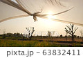 Slow motion of curtains in the wind with outdoors scenic view of yellow sunn hemp flower field, beautiful sunset sky on background. Relaxation, lifestyle, nature landscape concepts. 63832411