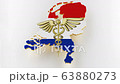 Caduceus sign with snakes on a medical star. Map of Netherlands land border with flag. 3d rendering 63880273