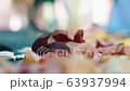 Multicolored background for love text (Rose petals fly down) 63937994