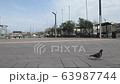 Pigeon walking on the island of Malta 63987744