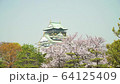 Osaka Castle Sakura 05 64125409