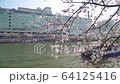 Osaka Okawa in Spring 03 64125416