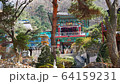 korea, nature, forest 64159231