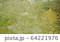 水面（温泉） 64221976