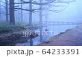 Fog Bridge 64233391