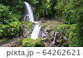 Beautiful waterfall in Bali, Indonesia. 64262621