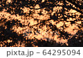 春天風景 64295094