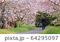 春天風景 64295097