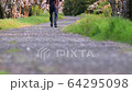 春天風景 64295098