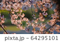 春天風景 64295101