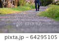 春天風景 64295105