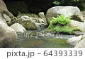 川のせせらぎ 64393339