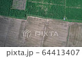 Thailand chiang mai countryside field farming drone 64413407