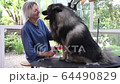 Smiling and happy professional groomer woman is trimming cute Wolf Spitz Dog. 64490829