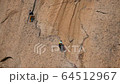 Rock climbing 64512967