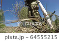 A warrior or military soldier dressed in 64555215