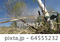 An explosion of a grenade tied to a tree trunk 64555232