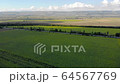 Aerial view in agriculture field. 64567769