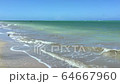 Beautiful beach in Sao Miguel dos Milagres in Alagoas state, Brazil 64667960