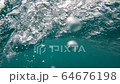 ハワイでサーフィン体験 64676198