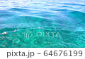 ハワイでサーフィン水中でカメと遭遇 64676199
