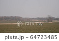 young couple in love together launch a boomerang in a field 64723485